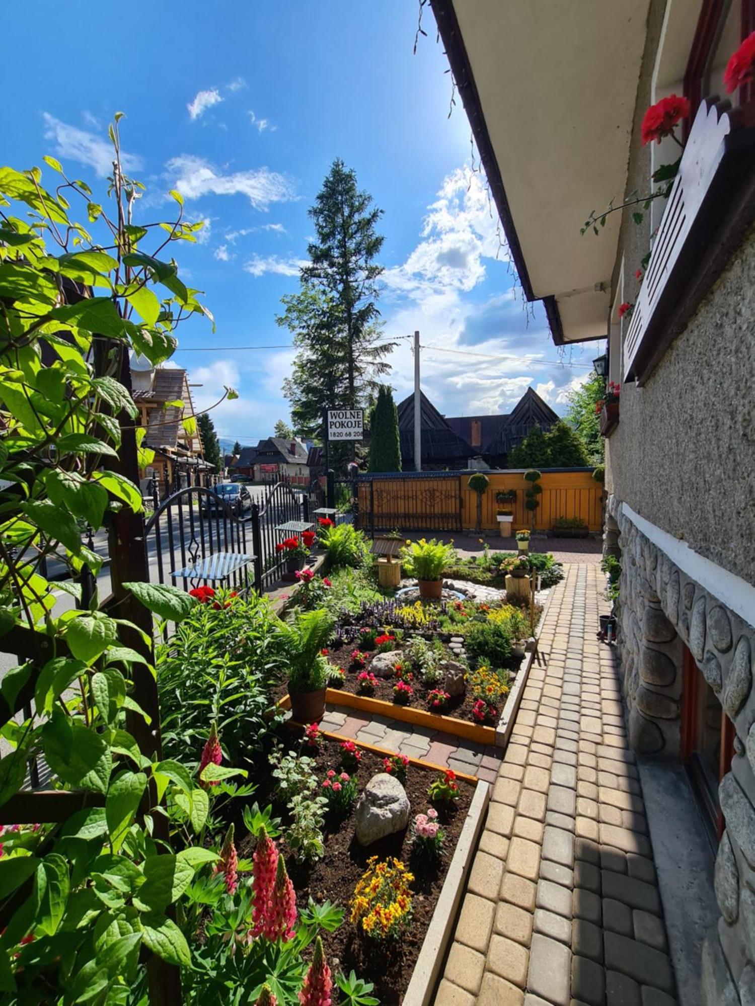 Pokoje U Anny Zakopane Eksteriør billede